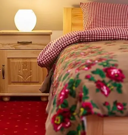 Folk I Apartment Murzasichle